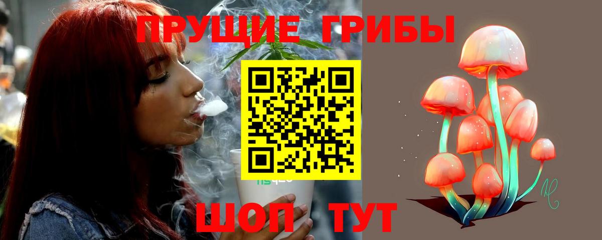 Стрежевой  Галлюциногенные грибы Psilocybine cubensis  Вход с VPN 